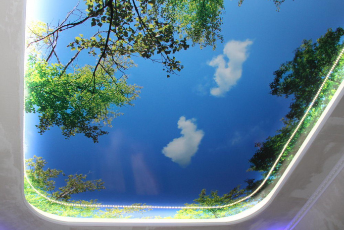 Всё, что душе угодно - PR